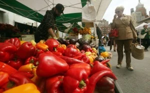 Farmers Markets Gain In Popularity In U.S.