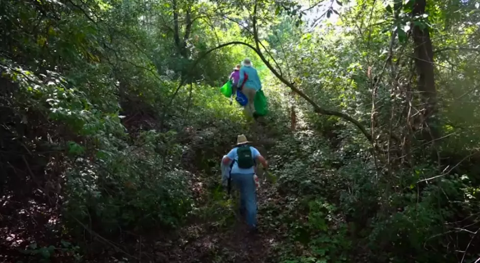 Help Take Care of MI’s Natural Resources – Volunteer with the DNR