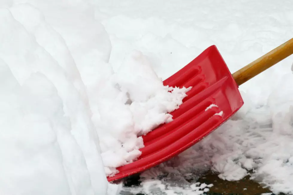 Volunteers Needed to Shovel Snow for Senior Citizens in Grand Rapids