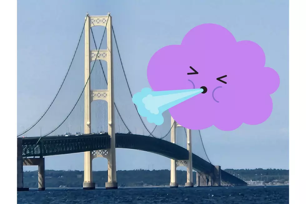 Mackinac Bridge Views/Facebook/Judith Ann Rhodes/Canva