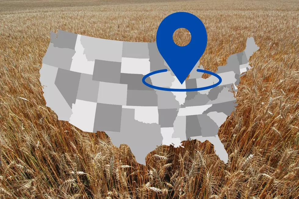 Is Michigan Truly Midwest? Redditors Weigh In On Geography