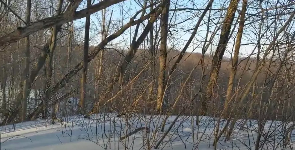 This is the Highest Point in Michigan’s Lower Peninsula – and Not Easy to Visit