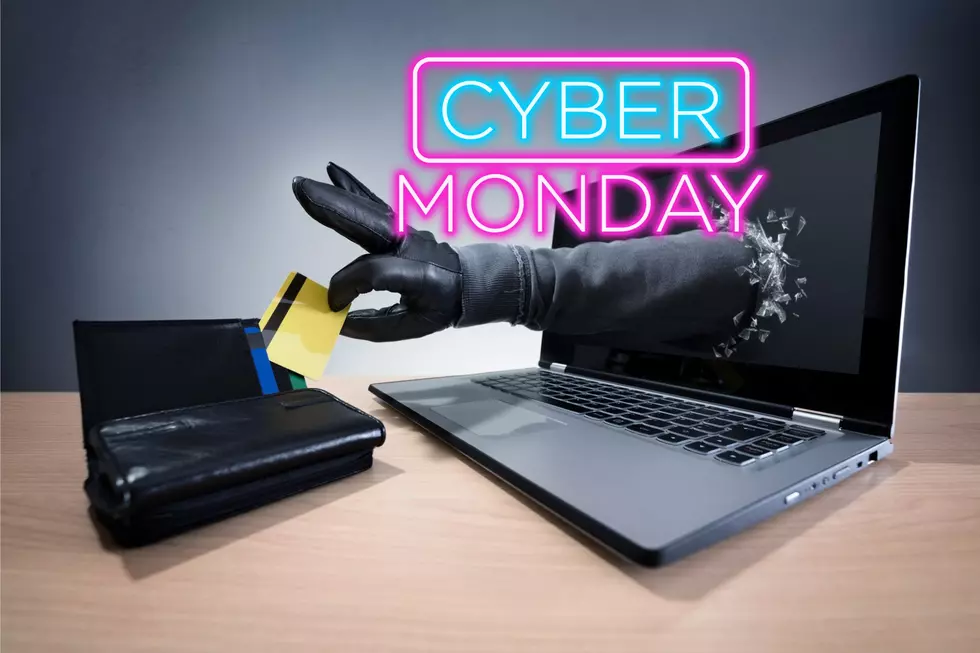 Warning! Cyber Monday Shopping Can be Special But Dangerous!