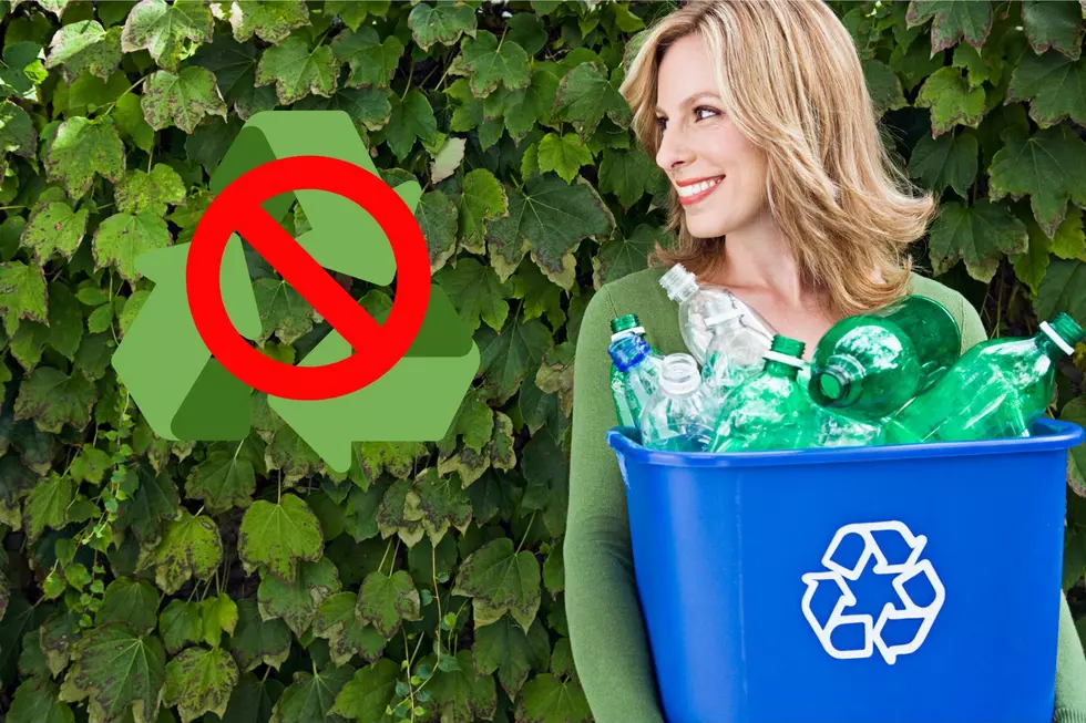 Surprising Things You Can’t Recycle in Michigan