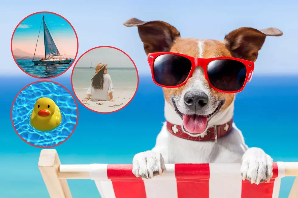 We’ve Waited Long Enough! Summer Officially Arrives on Tuesday